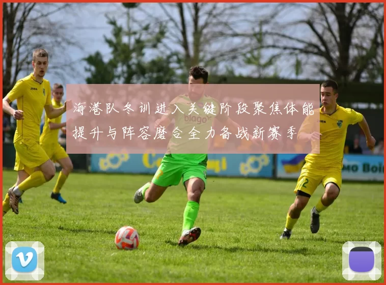 海港队冬训进入关键阶段聚焦体能提升与阵容磨合全力备战新赛季