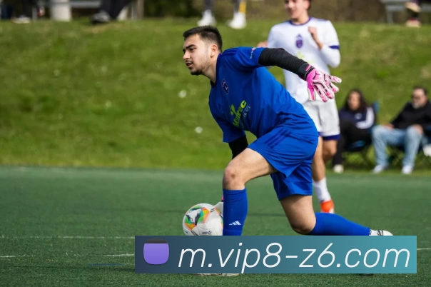 App Interface Preview